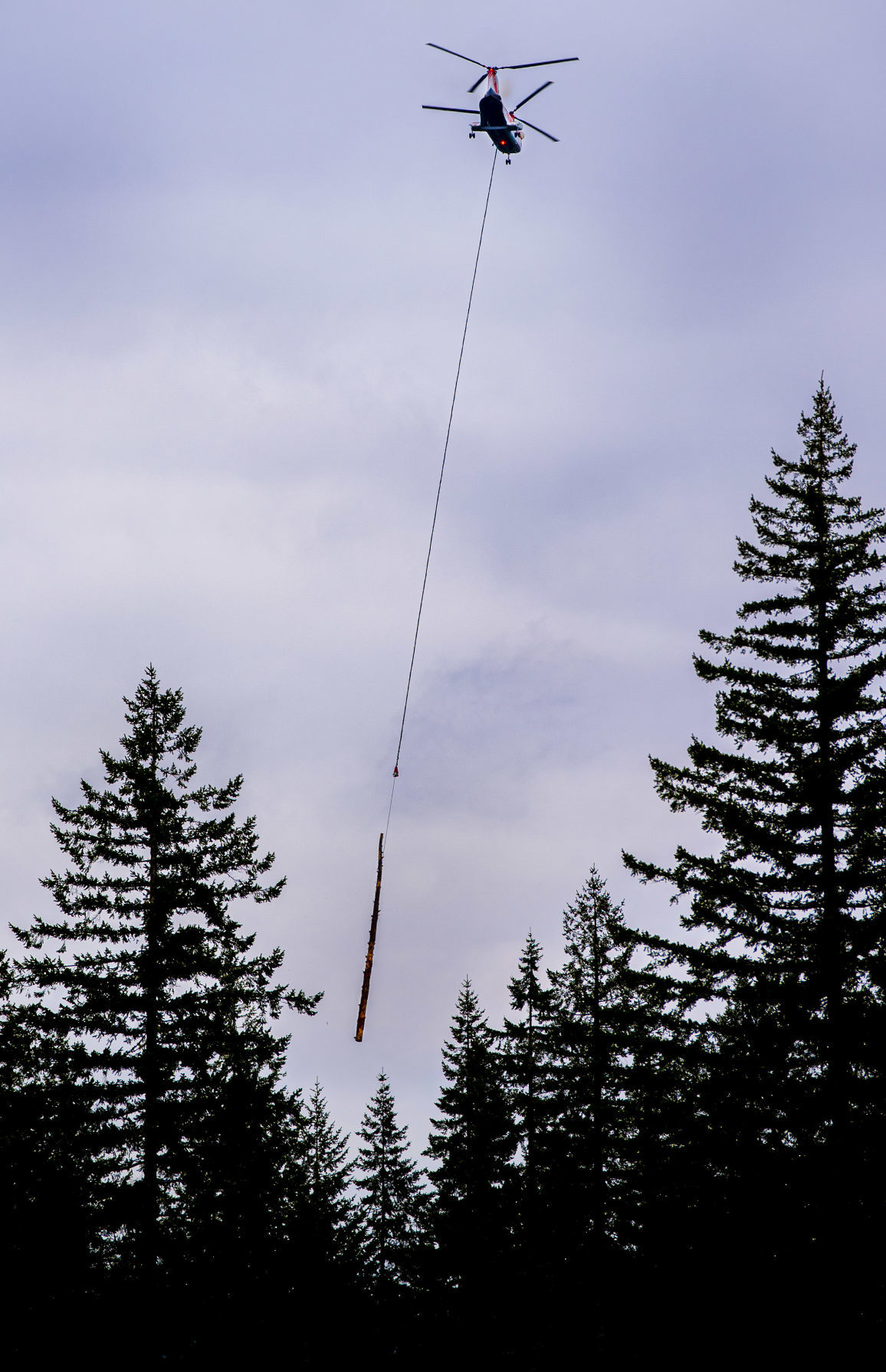 Over the treeline